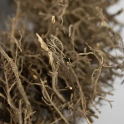 Krans af tørrede grene Ø 48 cm